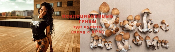 кокаин колумбия Корсаков