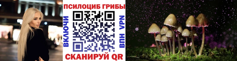 Купить где  Пионерский  Галлюциногенные грибы мухоморы 